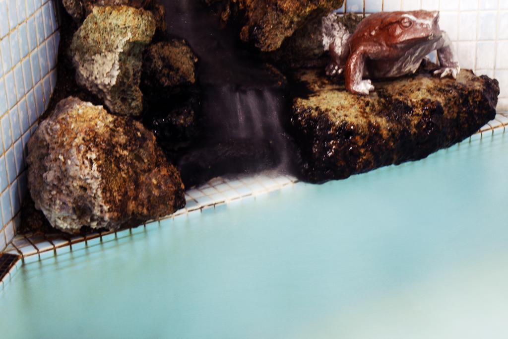 Ryokan Seizan-So Kaminoyama ห้อง รูปภาพ